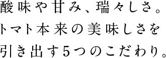酸味や甘み、瑞々しさ。トマト本来の美味しさを引き出す5つのこだわり。