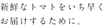 新鮮なトマトをいち早くお届けするために。