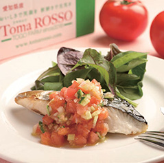 トマロッソ × 魚のグリル～ラビゴットソース～